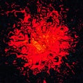 Abstract blood red ink splat with black background image Royalty Free Stock Photo