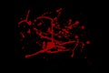 Abstract blood red splatter, isolated on black background. Grunge dark texture. Vector illustration.