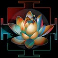 Abstract blooming lotus