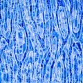 Abstract blue grungre wavy line art wallpaper design background Royalty Free Stock Photo
