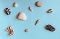 Abstract blue background with sea objects - pebble stones, seashells, corals