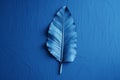 Abstract blue banana leaf in minimalist interior background. Generative AI