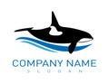 Abstract whale logo on white background