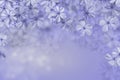 Abstract blue blossom background with small blurred flowers raining down and lights