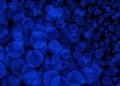 Abstract Blue Bokeh Bubbles on Black Background Royalty Free Stock Photo