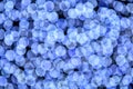 Abstract blue bokeh defocused background