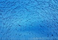 Abstract blue broken cracked glass window on sky background Royalty Free Stock Photo