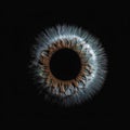 Abstract blue eye with space. An human eye on black background. Royalty Free Stock Photo