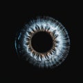 Abstract blue eye with space. An human eye on black background. Royalty Free Stock Photo