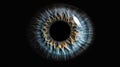 Abstract blue eye with space. An human eye on black background. Royalty Free Stock Photo