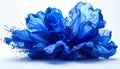 Abstract Blue Flower Explosion with Glitter on White Background Royalty Free Stock Photo