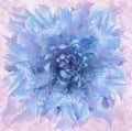 Abstract blue flower in watercolor style. Floral blue-pink background. For design, texture, cover, postcard. Royalty Free Stock Photo