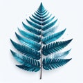 Abstract Blue Green Fern Leaf on White Surface with Shadow Royalty Free Stock Photo