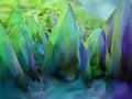 Abstract blue green glass crystals Royalty Free Stock Photo