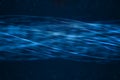 abstract blue growing bright bunch of optical fibers background, fast light signal for high speed internet connection Royalty Free Stock Photo