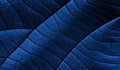 Abstract blue leaf background Royalty Free Stock Photo