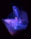 Abstract blue and purple neon shape or substance on black. Music bit, cosmic sound rhythm.