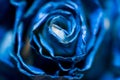 Abstract blue rose close up macro shot Royalty Free Stock Photo