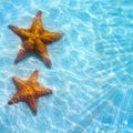 Abstract Blue sea tropical background with starfish on sand Royalty Free Stock Photo