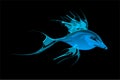 Abstract blue shaded fish with black Background. Vector Illustration Royalty Free Stock Photo