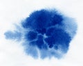 Watercolor. Abstract blue spot on white watercolor paper. Royalty Free Stock Photo