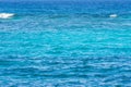 Abstract blue water background. Sea, ocean turquoise blue water. Royalty Free Stock Photo