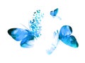 Abstract blue watercolor butterflies. hand drawing. Not AI. Vector illustration Royalty Free Stock Photo