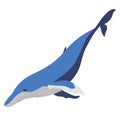 Abstract blue whale flat vector clip art Royalty Free Stock Photo