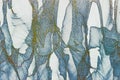 Abstract blue white, background wall texture with grains and rough random patterns of patches design.