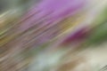 abstract blur background for webdesign, colorful background, blurred, wallpaper Royalty Free Stock Photo