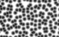 Abstract blur black dots texture