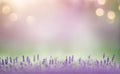 Abstract blur bokeh banner background, Lavender purple and sage green bokeh background, copy space Royalty Free Stock Photo