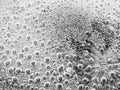 Abstract blur . bubbles at the bottom surface of the pan with boiling water Blurred background Royalty Free Stock Photo