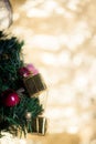 Abstract blur Christmas Tree bokeh background. Royalty Free Stock Photo