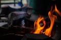 Abstract blur of flames, fire burning wood in stove