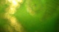 Abstract blur golden light green background