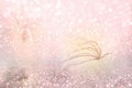 Grass flower field with glitter in spring, sweet soft pink background