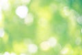 Abstract blur green color for background,blurred and defocused effect spring concept for design Royalty Free Stock Photo