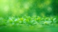 abstract blur green color for background,blurred and defocused effect spring concept for design Royalty Free Stock Photo