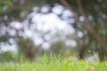 Abstract blur green exercise park in spring outdoor background concept for blurry beautiful nature field, horizon autumn meadow. Royalty Free Stock Photo