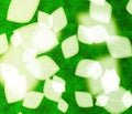 Abstract blur leaf background