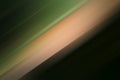 Abstract blur motion background, green, beige and black Royalty Free Stock Photo