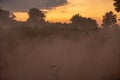 Abstract blurred background agricultural fields in morning fog at sunrise. Colored sunrise in indigo farm with mist soft focus