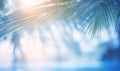 Abstract blurred background with blue sky and sun rays passing through palm leaves.