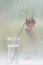 Abstract blurred background, dry flower, dried rose in a vase near a wet window, rainy day. Concept of loneliness Royalty Free Stock Photo