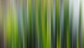 Abstract blurred background, vertical lines green, yellow, gray Royalty Free Stock Photo