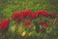 Abstract blurred beckground flowers and grass