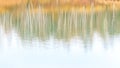 Abstract blurred bright fall background in pastel shades. Reflection of autumn forest in the lake Royalty Free Stock Photo