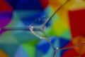 Abstract blurred bubbles on a colorful background, macro photography Royalty Free Stock Photo