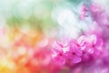Abstract Blurred floral spring background with copy space. Summer bright banner with empty place for textAi, Ai Generated Royalty Free Stock Photo